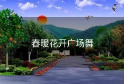 舂暖花开广场舞