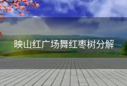 映山红广场舞红枣树分解