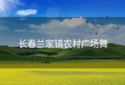 长春兰家镇农村广场舞