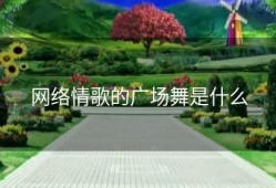 网络情歌的广场舞是什么