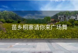 苗乡桐寨请你来广场舞