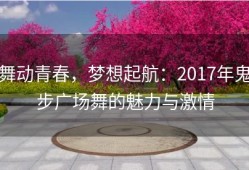 舞动青春，梦想起航：2017年鬼步广场舞的魅力与激情