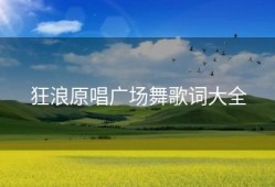 狂浪原唱广场舞歌词大全