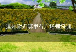 温州附近哪里有广场舞培训
