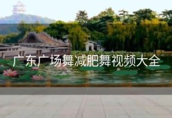 广东广场舞减肥舞视频大全