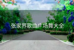 张家界歌曲广场舞大全