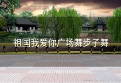 祖国我爱你广场舞步子舞
