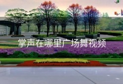 掌声在哪里广场舞视频