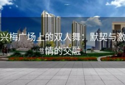 兴梅广场上的双人舞：默契与激情的交融