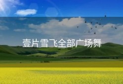 壹片雪飞全部广场舞