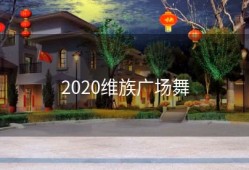 2020维族广场舞