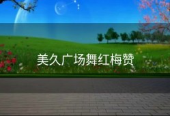 美久广场舞红梅赞