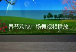 春节欢快广场舞视频播放
