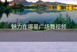 魅力在哪里广场舞视频