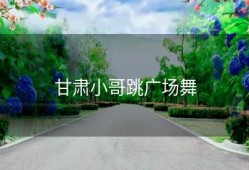 甘肃小哥跳广场舞