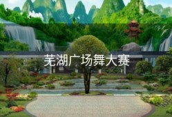 芜湖广场舞大赛