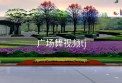 广场舞视频tj