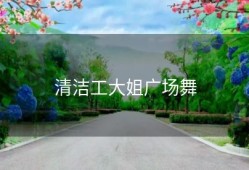 清洁工大姐广场舞
