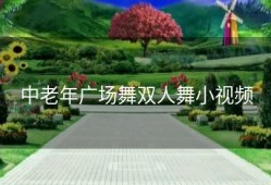 中老年广场舞双人舞小视频