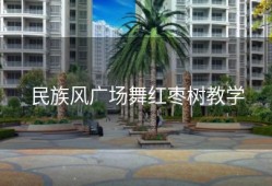 民族风广场舞红枣树教学