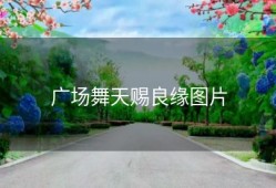 广场舞天赐良缘图片
