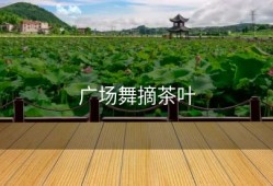 广场舞摘茶叶