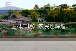 王林广场舞农民也辉煌