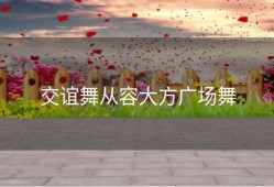 交谊舞从容大方广场舞