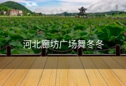 河北廊坊广场舞冬冬