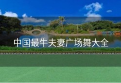 中国最牛夫妻广场舞大全