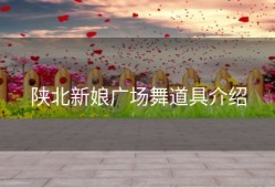 陕北新娘广场舞道具介绍