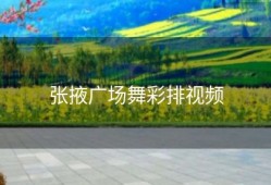 张掖广场舞彩排视频