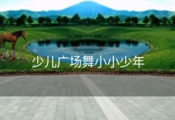 少儿广场舞小小少年