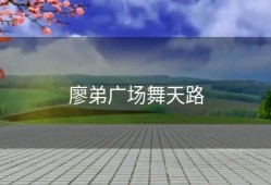 廖弟广场舞天路