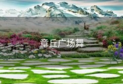 章丘广场舞