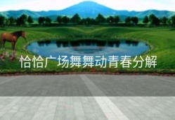 恰恰广场舞舞动青春分解