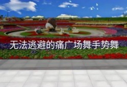 无法逃避的痛广场舞手势舞