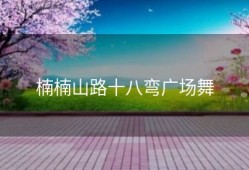 楠楠山路十八弯广场舞
