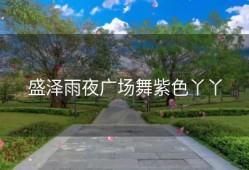 盛泽雨夜广场舞紫色丫丫