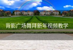 背影广场舞拜新年视频教学