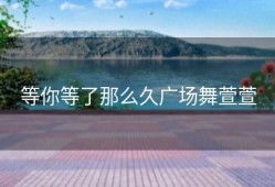 等你等了那么久广场舞萱萱