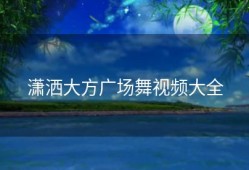 潇洒大方广场舞视频大全