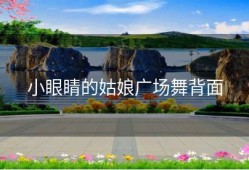 小眼睛的姑娘广场舞背面