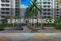 芜湖相思广场舞视频大全