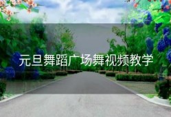 元旦舞蹈广场舞视频教学