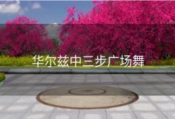 华尔兹中三步广场舞