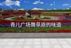 青儿广场舞草原的味道