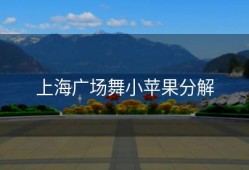 上海广场舞小苹果分解