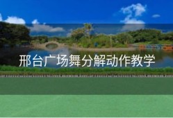 邢台广场舞分解动作教学