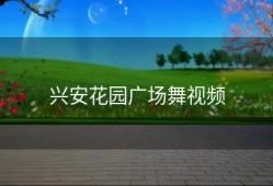 兴安花园广场舞视频